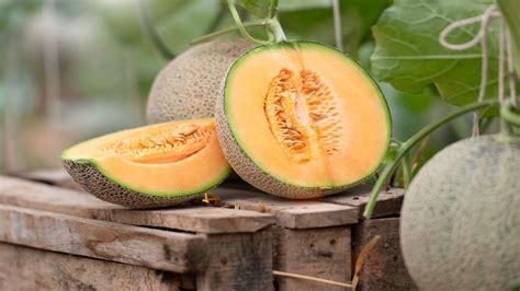 Melone: ​​Nutzen Und Tugenden